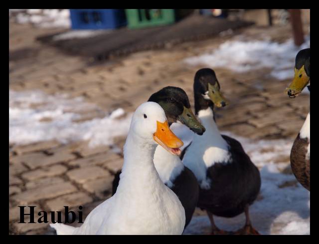 Zbiornikowe znajomosci .... umawiamy sie na GB - haubi