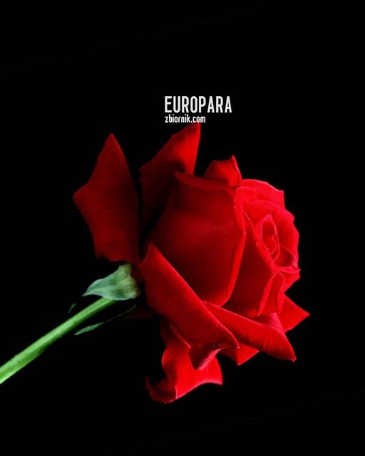 DLA WSZYSTKICH KOBIET - europara