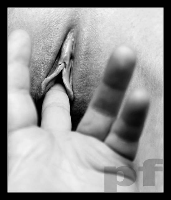 TYLKO NA CHWILKĘ - panfoto