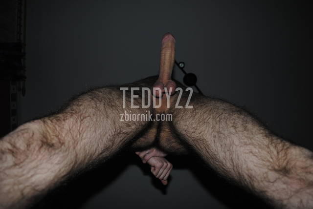 _DSC0070.JPG - Teddy22