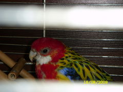 I kto kogo obserwuje ?