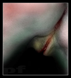 Panfoto presents: Moja cipeczka