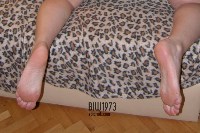 3333 (4).JPG - biw1973