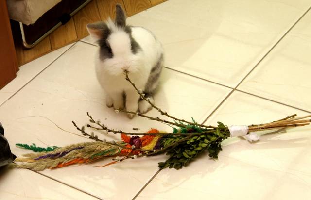 WIELKANOOCNIE - eik1975