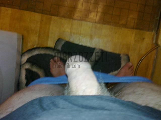 20100220009.jpg - mbrzozzeti