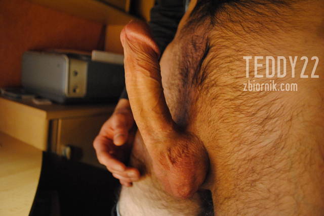 _DSC0098.JPG - Teddy22