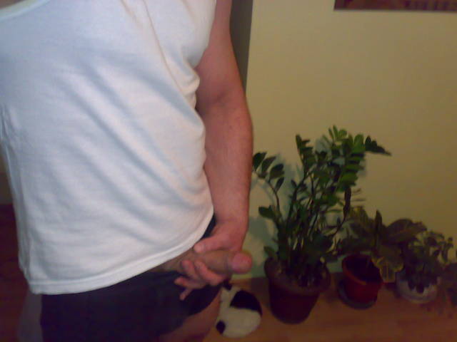 20100421277.jpg - endriu77