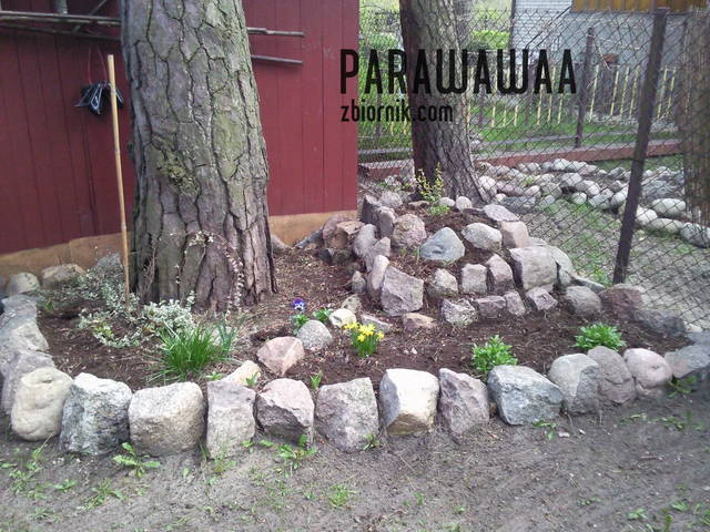 takie wypociny - parawawaa