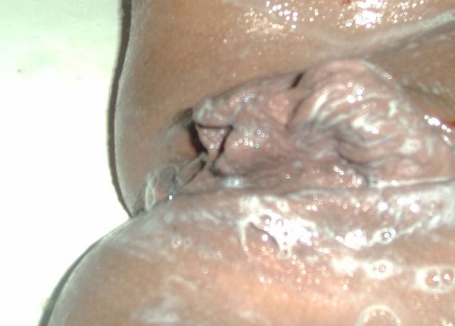 cleopatrabi