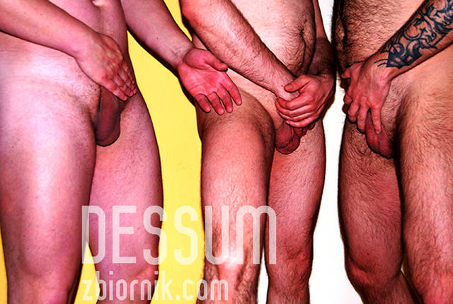 jaja na twardo... dla zbiornikowych pań :) - dessum