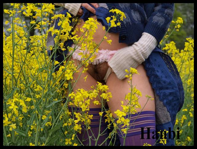 Pierwsze pszczolki w rzepaku ... - haubi