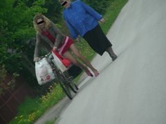 święto dyszla (dzień targowy)