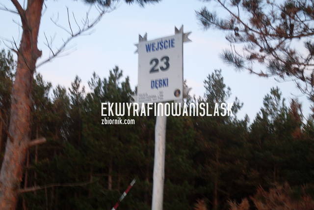 ZIMNA MAJÓWKA - ekwyrafinowanislask