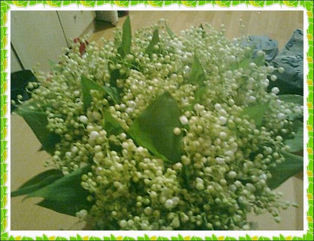 dla zbiornikowych Przyjaciół :) - madzia90