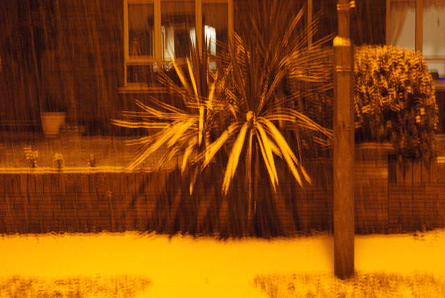 SC01884.JPG - robal202