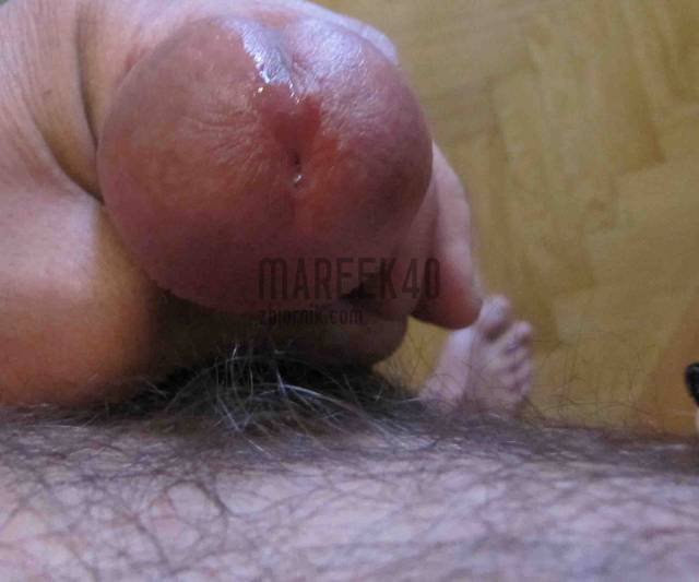 IMG_0577.JPG - mareek40