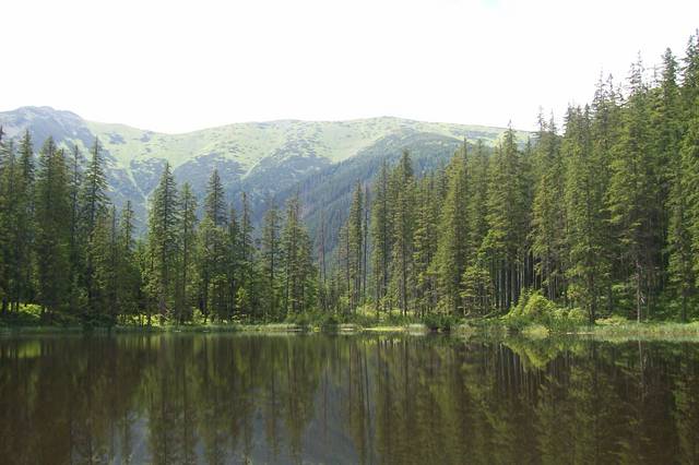 100_1161.JPG - tabletusiaiproszek