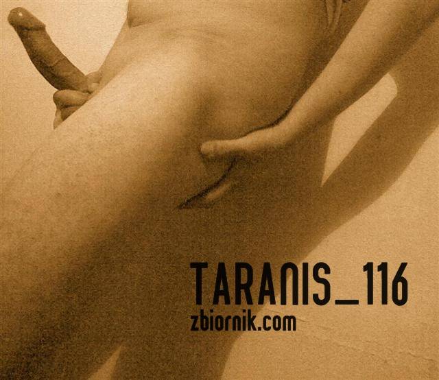 z profilu... - taranis_116