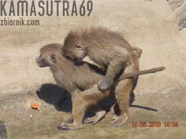 stare dzieje.JPG - kamasutra69