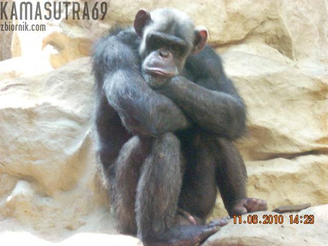 Piotr.JPG - kamasutra69