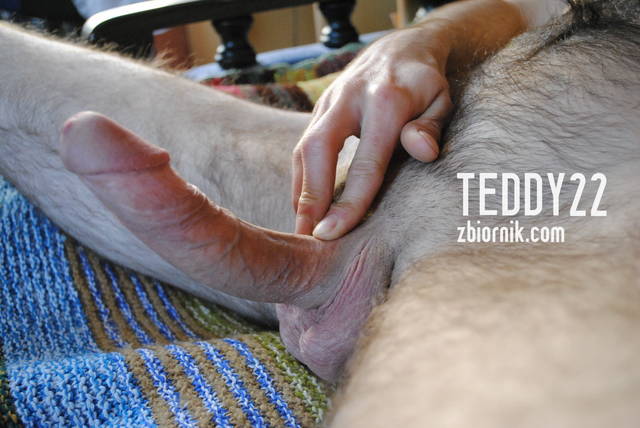 mały rogacz :) - Teddy22