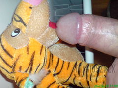 to co tygryski lubia najbardziej