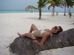 słońce dodaje wigoru