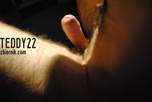 _DSC0004.JPG - Teddy22