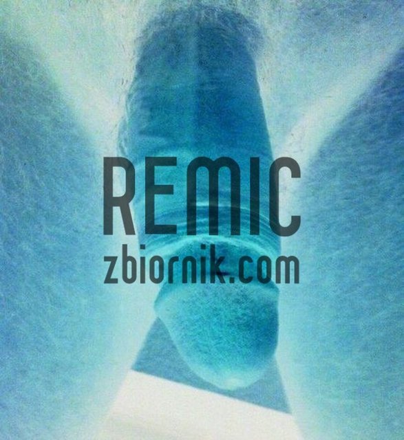 ya - Remic