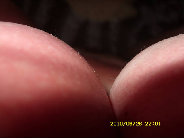 SDC17761.JPG - novi2009