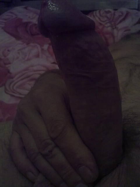 4 010.jpg - paralubin1