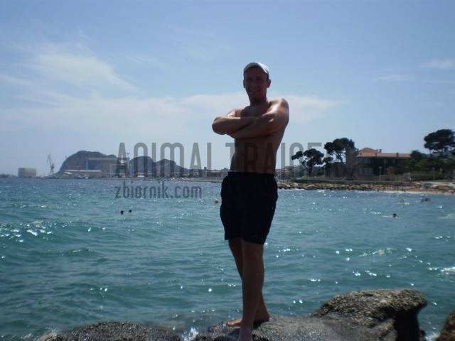 Marseille - AnimalTrainer