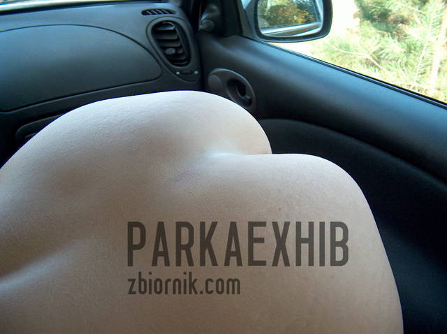 parkaexhib