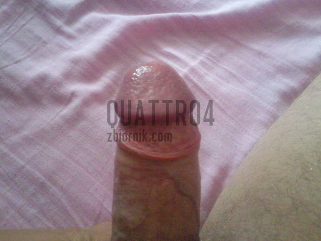 Quattro4