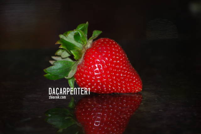 dacarpenter1
