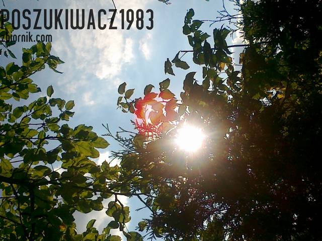 20100801024.jpg - poszukiwacz1983