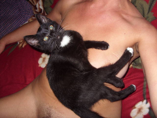 kot i kotka - novi2009