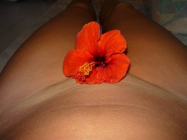 Resize of P1010130.JPG - parkanl