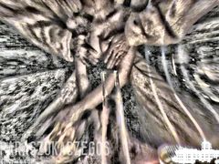 Hands of the demon ;)