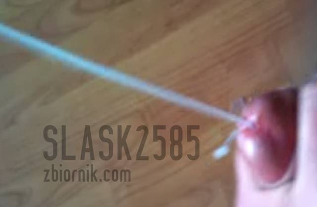 Bez tytułu.jpg - slask2585