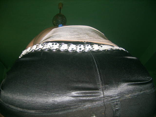 S5004479.JPG - Trans1