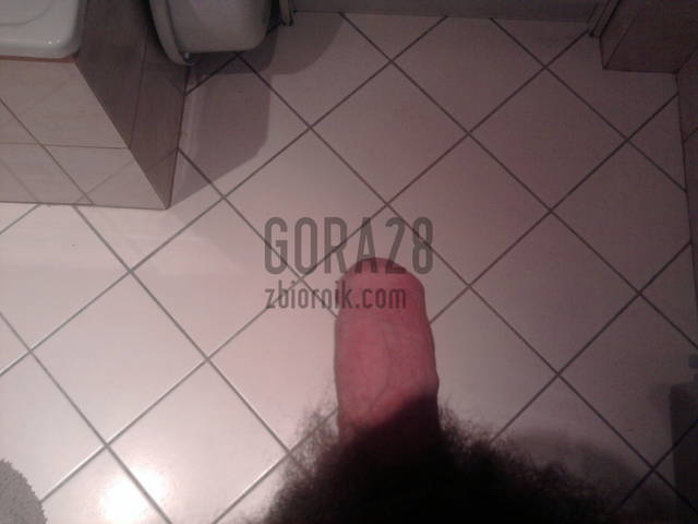 gora28