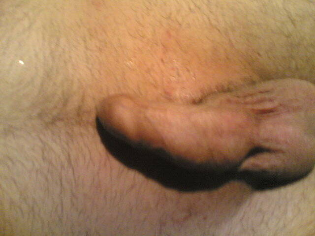 samotny - jastrzzeee