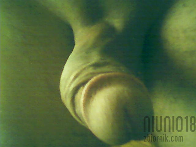 Img00000.jpg - niunio18