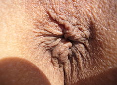 odbyt