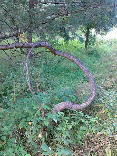 20100912097.jpg - cartagina