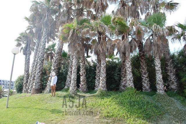 Pozdrowienia z Cap d`Agde2 - AsJa