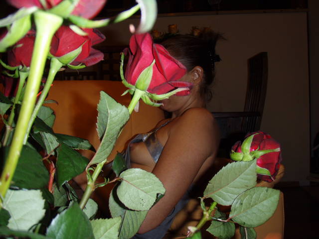 P5280023.JPG - et_para_NS