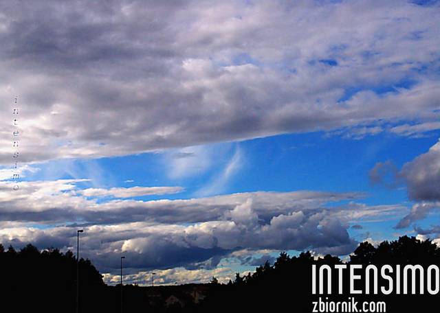 blue.... - intensimo