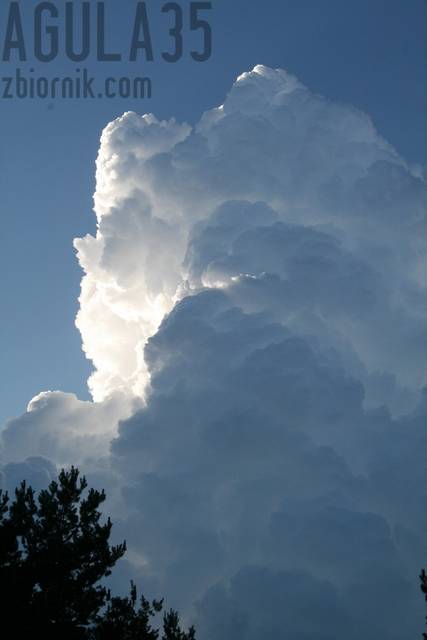 jak mój charakter - agula35